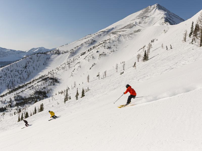 ノルディックトラックSkiing in Your  ノルディックウォーク How to ski and snowboard Alberta, from Canadian Rockies to